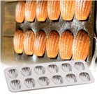 Tin plate for 12 madeleines