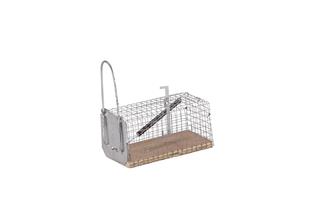 Mouse catcher / mouse trap