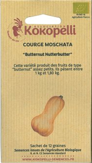 Butternut Nutterbutter (Buttermilk) seeds